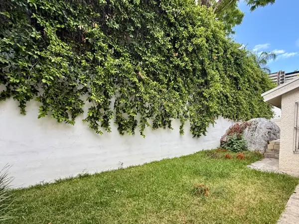 Casa en Renta en Los Colorines, San Pedro Garza García, Nuevo León 4