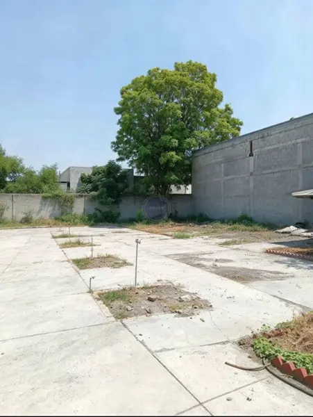 Terreno en Renta en centro, Monterrey