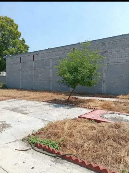 Terreno en renta en Nuevo Repueblo, Monterrey — foto 3 de 5