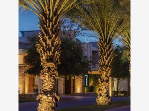 Terreno en venta en La Vinícola Residencial, Torreón — foto 3 de 3