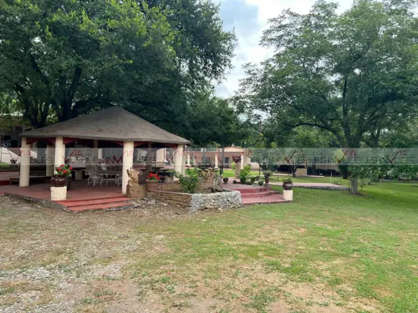 Las Margaritas