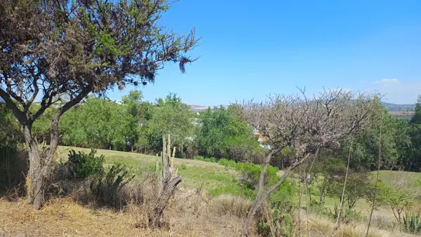 Terreno en venta en Paseos Tepeji, Tepeji del Río de Ocampo — foto 3 de 200
