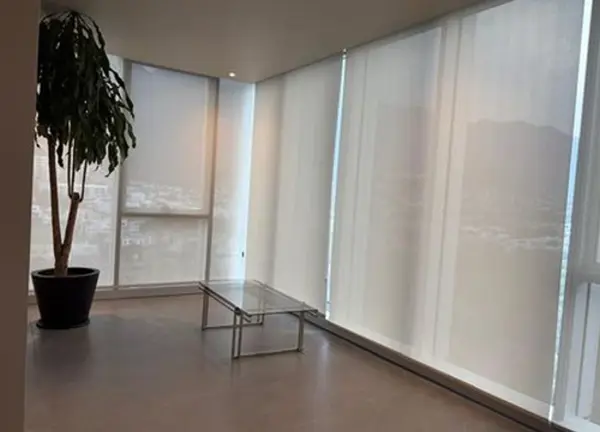 Departamento en Renta en Del Valle Oriente, San Pedro Garza García, Nuevo León 3