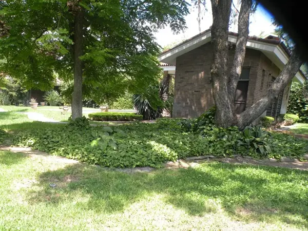 Terreno en venta en Del Valle, San Pedro Garza García — foto 3 de 8