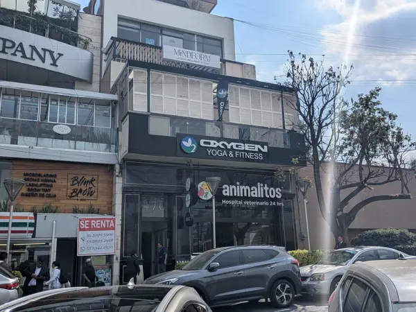 Local en renta en Lomas de Chapultepec III Sección, Miguel Hidalgo — foto 2 de 2