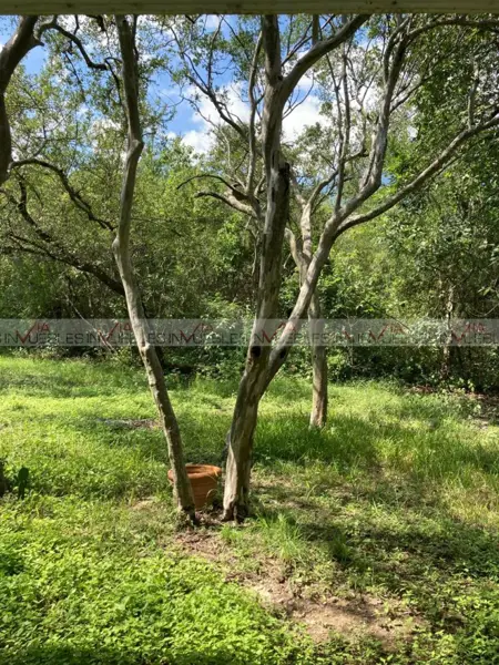 Terreno en venta en Huajuquito o los Cavazos, Santiago — foto 3 de 14