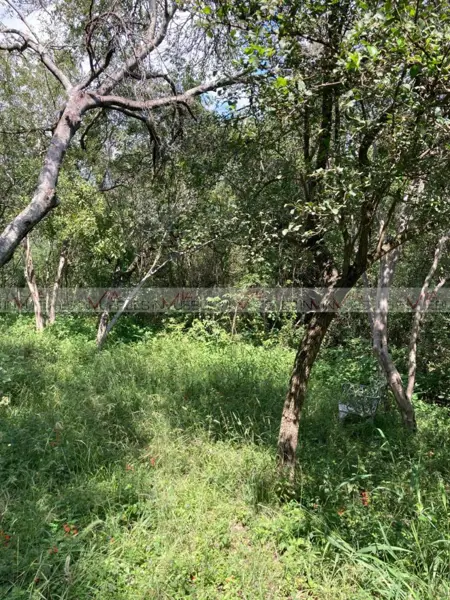 Terreno en venta en Huajuquito o los Cavazos, Santiago — foto 2 de 14