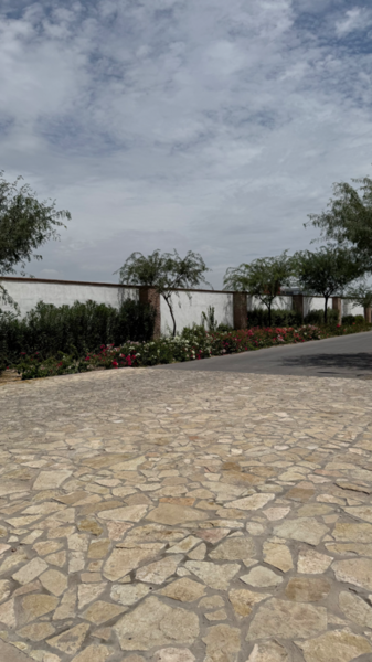 Terreno en venta en Las Trojes, Torreón — foto 3 de 5