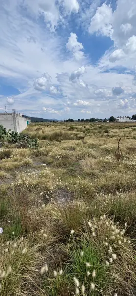 Terreno en venta en Villa de Tezontepec Centro, Villa de Tezontepec — foto 3 de 8