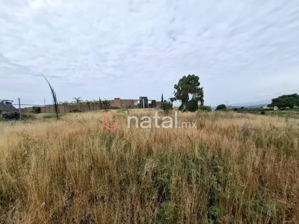 Terreno en venta en San Pablo Ahuatempa, Santa Isabel Cholula — foto 3 de 3