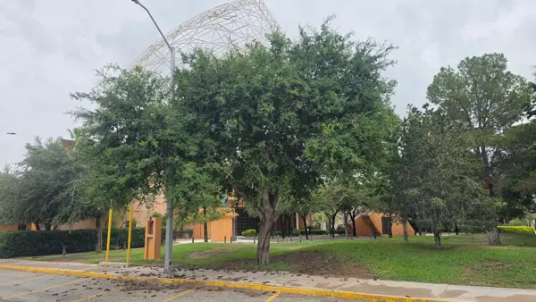 Terreno ubicado en El Fresno del lado de la Medalla Milagrosa