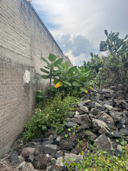 Terreno en venta en El Mirador 1A Sección, Tlalpan — foto 2 de 10
