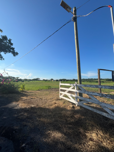 Terreno en venta en Anton Lizardo, Alvarado — foto 2 de 9