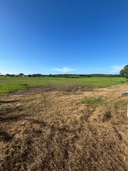 Terreno en venta en Anton Lizardo, Alvarado — foto 3 de 9
