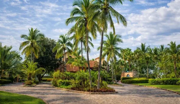 Terreno en venta en Barron, Mazatlán — foto 2 de 7
