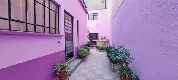 Departamento en renta en Popotla, Miguel Hidalgo — foto 3 de 14