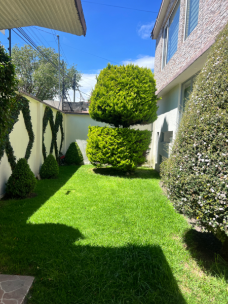 Casa en venta en Toluca ,ideal para escuelas
Notarías ,clínicas