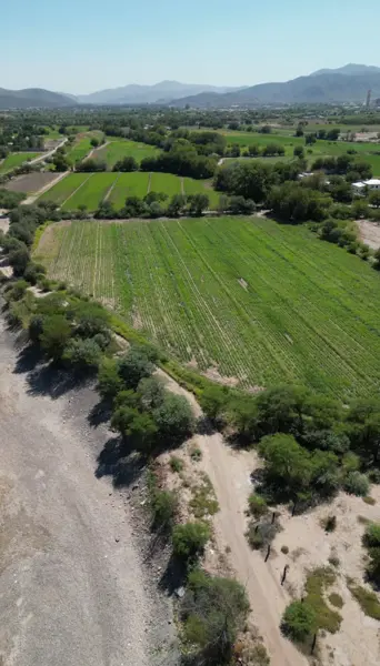 Terreno en Venta en Villa Juárez — foto 1 de 15