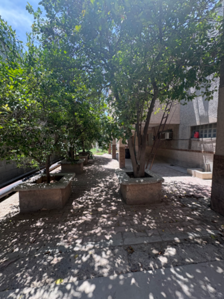 Nave en venta en San Isidro, Gómez Palacio — foto 3 de 9
