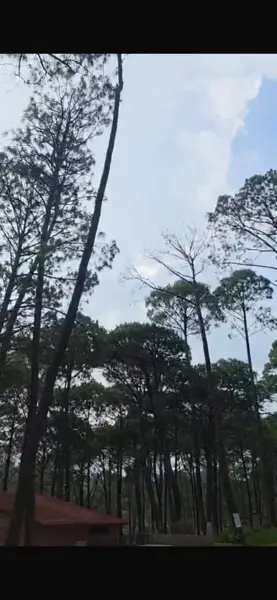 Terreno en venta en Mazamitla, Mazamitla — foto 3 de 8