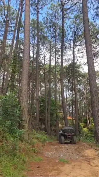 Terreno en venta en Mazamitla, Mazamitla — foto 2 de 8