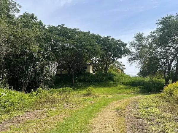 Terreno en venta en El Trapiche, Cuauhtémoc — foto 3 de 12