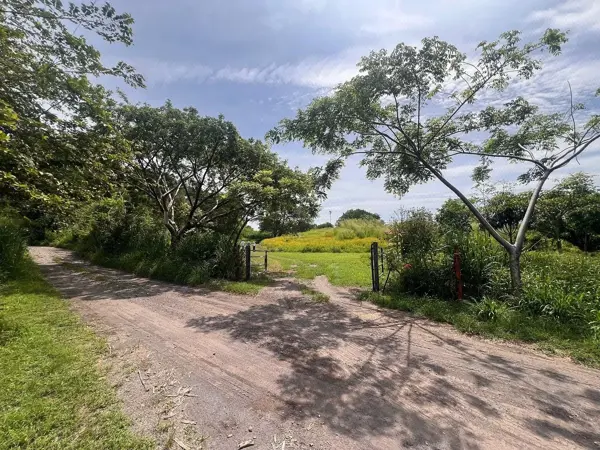 Terreno en venta en El Trapiche, Cuauhtémoc — foto 2 de 12