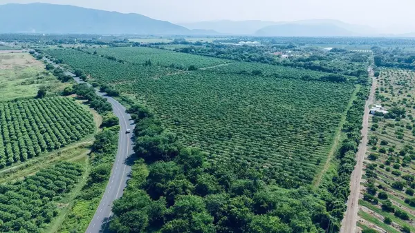 Terreno en venta en 88 Batallón de Infantería, Tecomán — foto 3 de 6