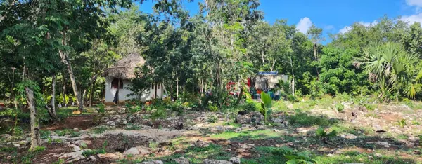 Terreno en venta en Leona Vicario, Puerto Morelos — foto 3 de 37