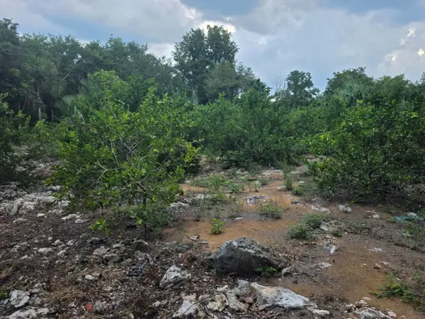 Terreno en venta en Leona Vicario, Puerto Morelos — foto 2 de 37
