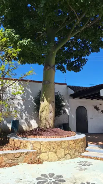 Casa en venta en Guadalupe Etla, Guadalupe Etla — foto 3 de 22