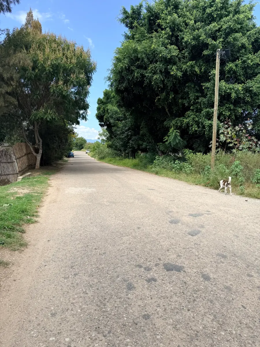 Terreno en venta en San Isidro Catano, Magdalena Apazco — foto 1 de 5