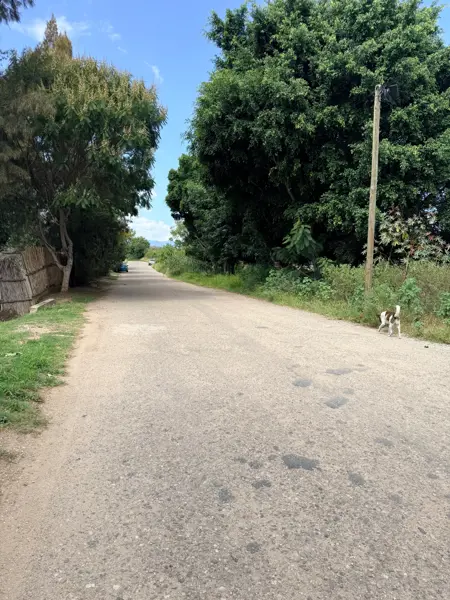 Terreno en venta en Nativitas Etla, Villa de Etla, Oaxaca