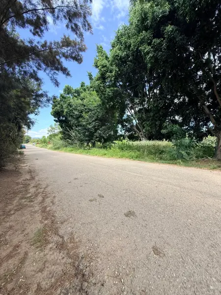 Terreno en venta en San Isidro Catano, Magdalena Apazco — foto 2 de 5