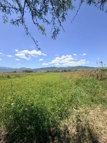 Terreno en venta en Rojas de Cuauhtemoc, Rojas de Cuauhtémoc — foto 2 de 2