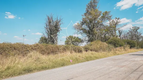 Terreno en venta en Zapote del Valle, Tlajomulco de Zúñiga — foto 2 de 23
