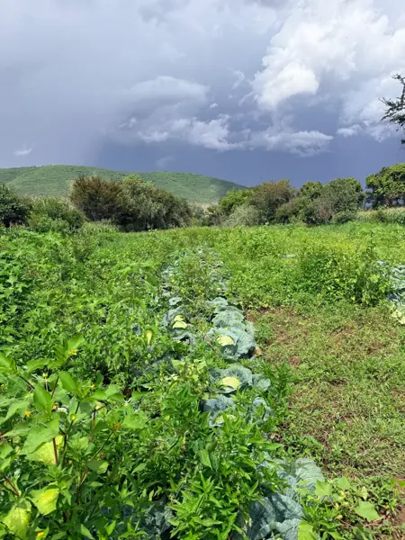 Terreno en venta en San Antonio Arrazola, Santa Cruz Xoxocotlán — foto 3 de 7