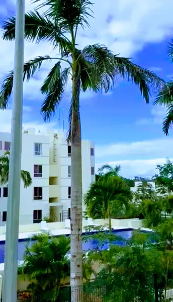 Departamento en renta en Aldea Tulum, Tulum — foto 3 de 12