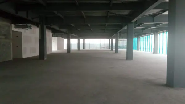 Oficina en Renta - Masaryk Piso 2 - 238 m2 Oficina en Renta - Masaryk Piso 2 - 238 m2