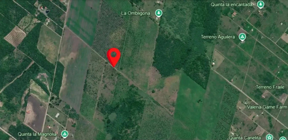 Terreno en Venta en El Fraile, Montemorelos, Nuevo León — foto 4