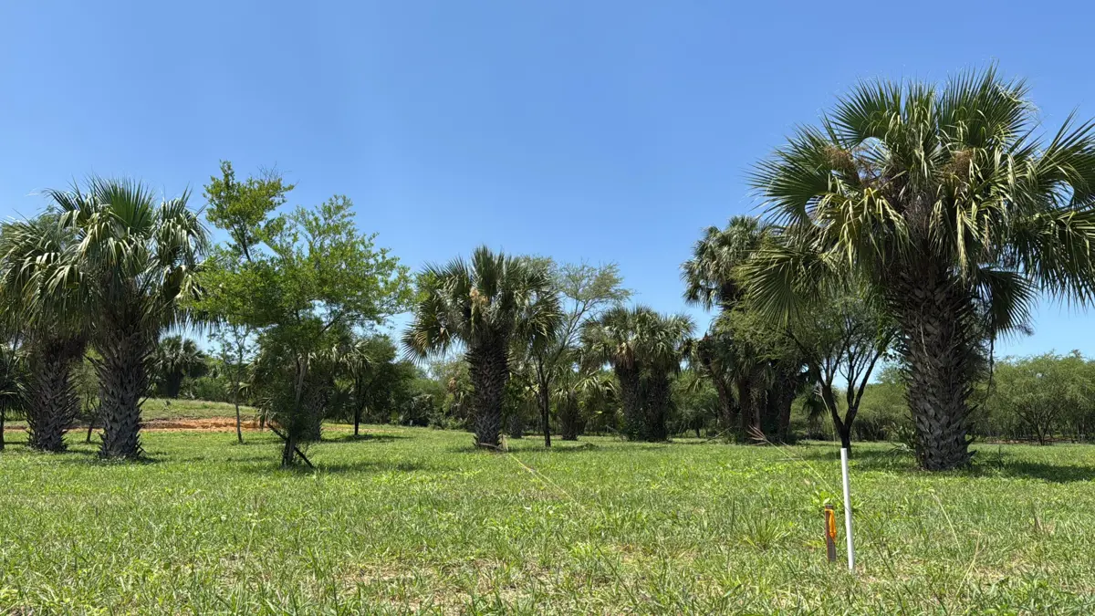 Terreno en Venta en El Fraile, Montemorelos, Nuevo León — foto 2