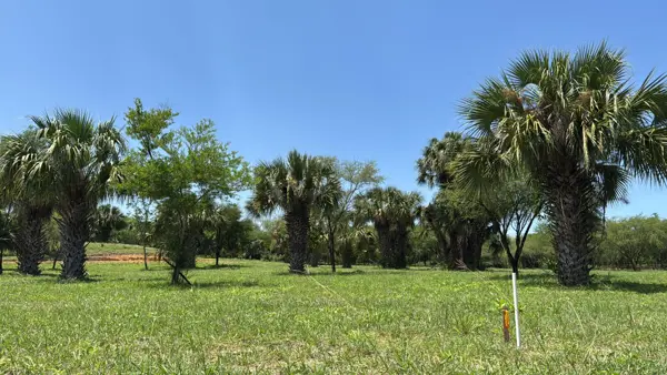 Terreno en venta en El Fraile, Montemorelos — foto 2 de 5