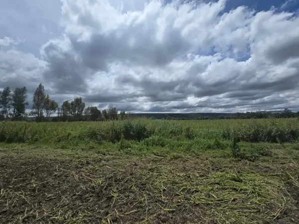 Terreno en venta en Amazcala, El Marqués — foto 3 de 5