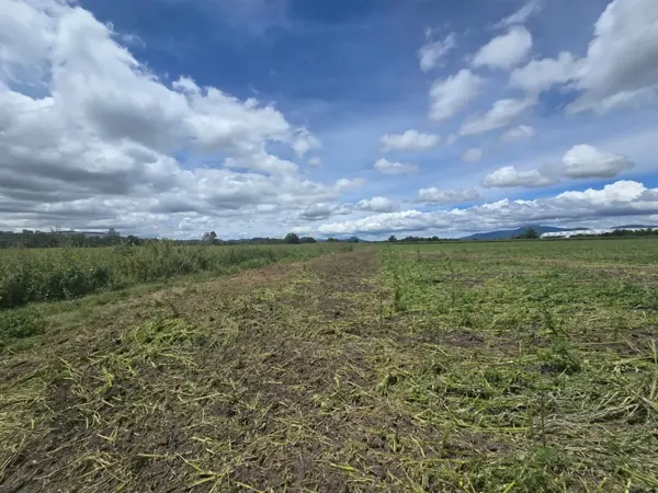 Terreno en Venta – Amazcala, El Marqués, Querétaro