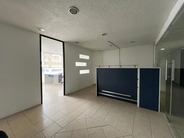 Oficina en Renta - Anzures - 58m2- Piso 11 Oficina en Renta - Anzures - 58m2- Piso 11