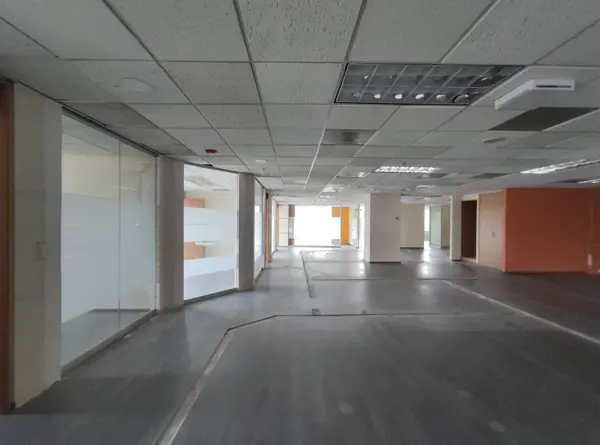Oficina en Renta - Torre Jade Piso 6 - 527 m2