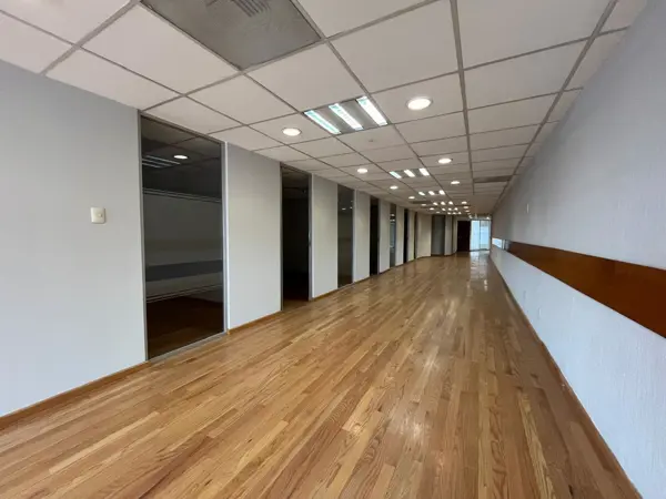 Oficina en Renta- Anzures- 225m2 Oficina en Renta- Anzures- 225m2