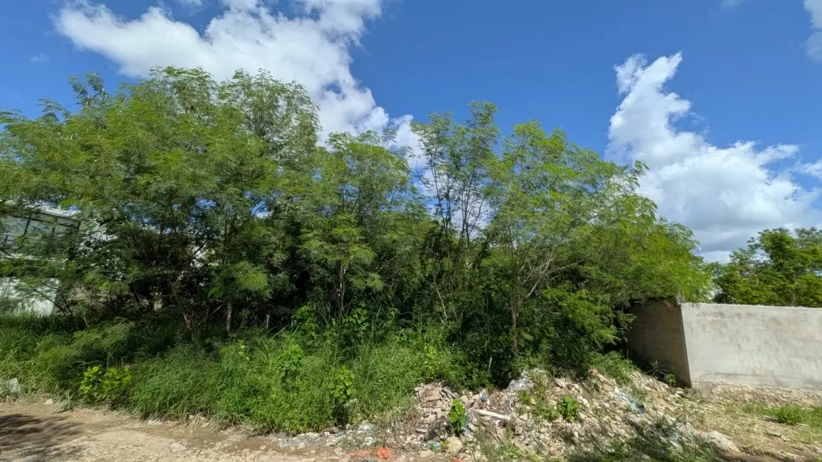 Terreno en venta en Dzitya, Mérida — foto 1 de 11