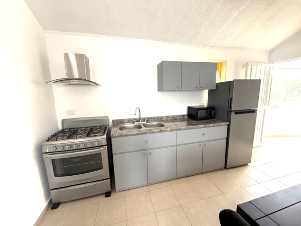 Departamento en renta en Las Margaritas, Torreón — foto 2 de 12
