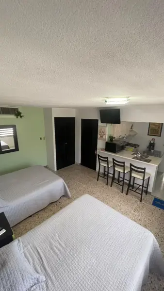 Se renta departamento /Loft amueblado en Torreón Jardín de un piso